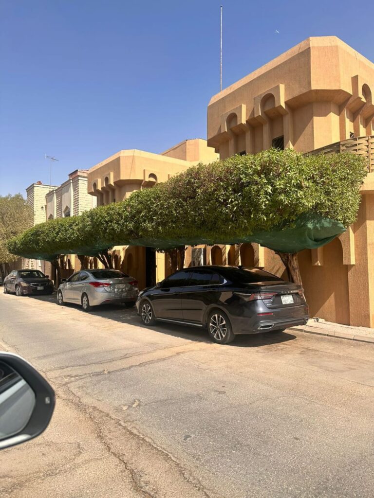 قص الأشجار بالرياض