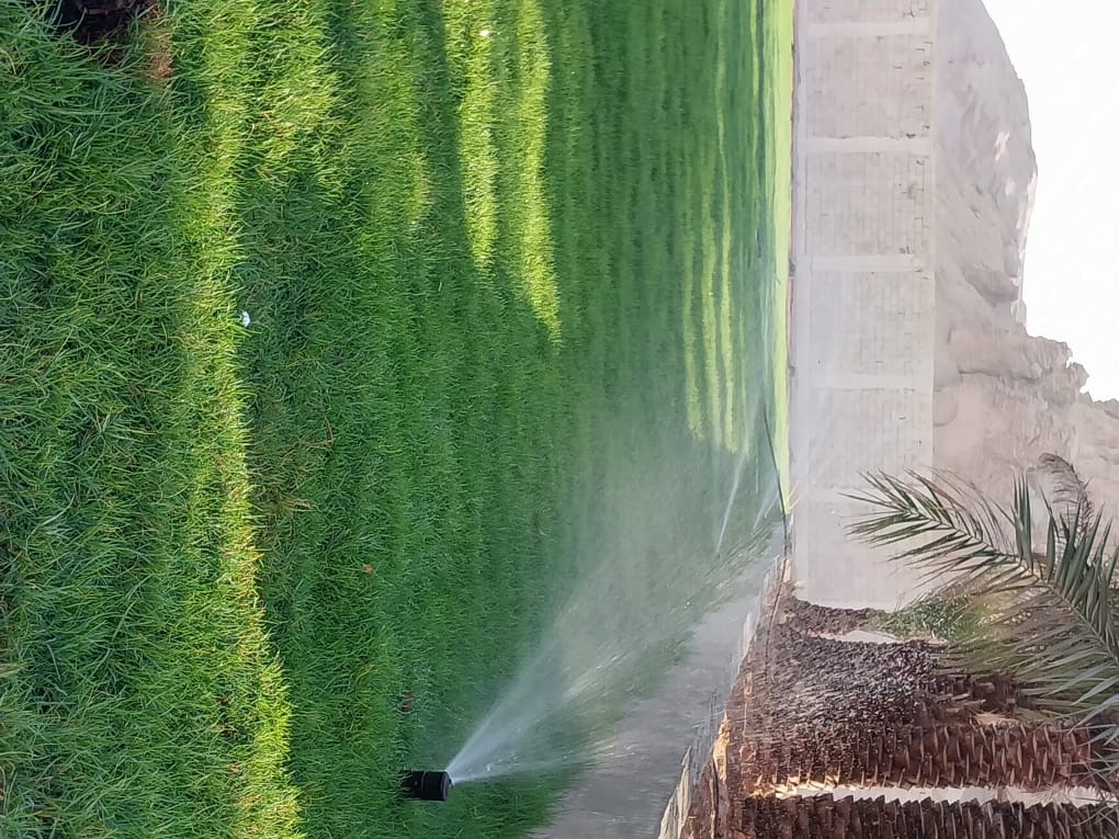 تمديد شبكات الري بالرياض