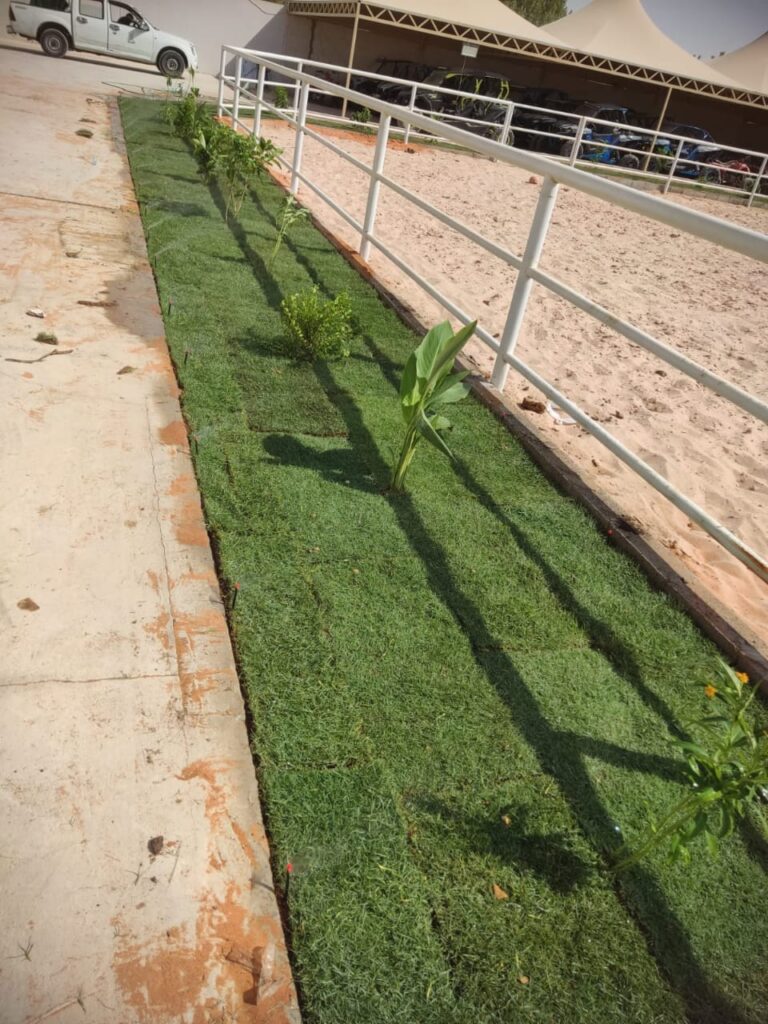 تنسيق حدائق بالرياض