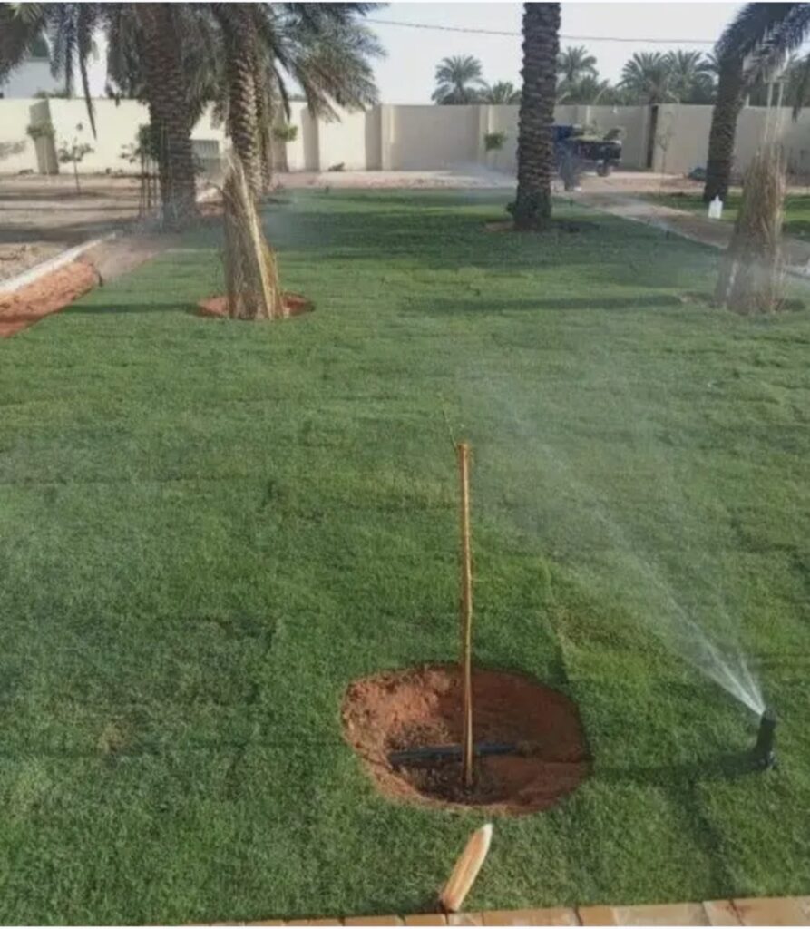 زراعة ثيل طبيعي بالرياض